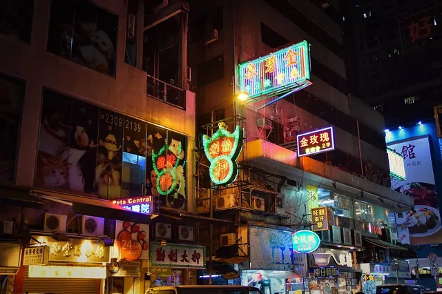 Neon lights of Hong Kong (51062084658)